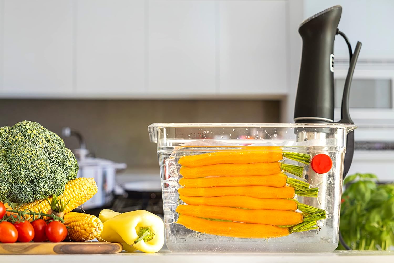 Sous Vide Magnets Set of 8 - F - đánh giá và giá Sous Vide Immersion