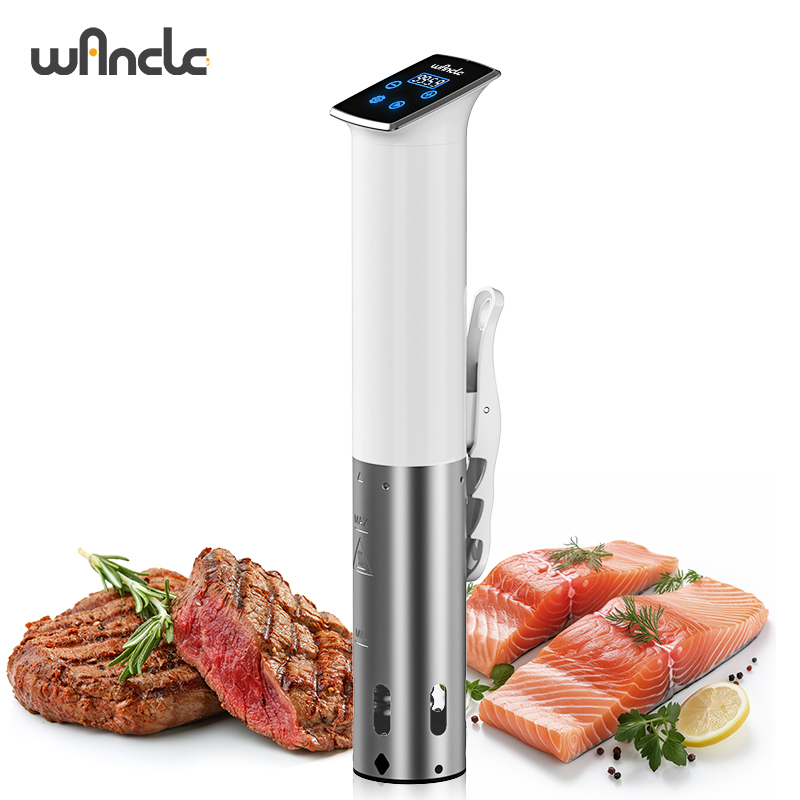 Wancle 1100W Waterproof Vacuum - đánh giá và giá Sous Vide Immersion